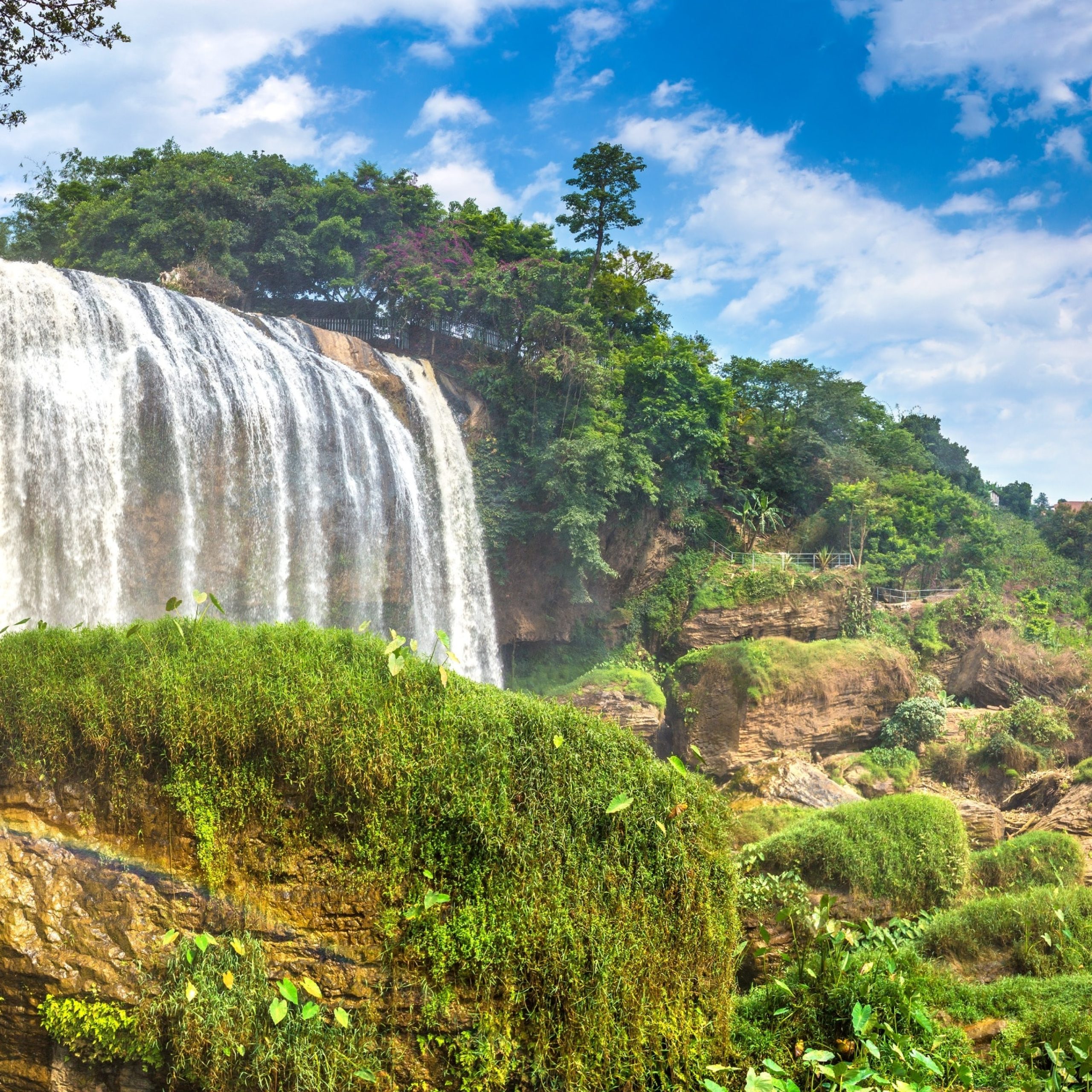 DA LAT 9
