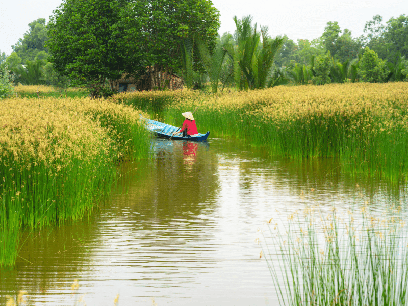 MEKONG DELTA 10