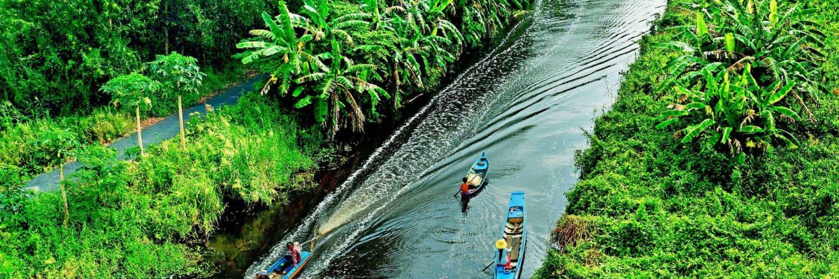 MEKONG DELTA 2