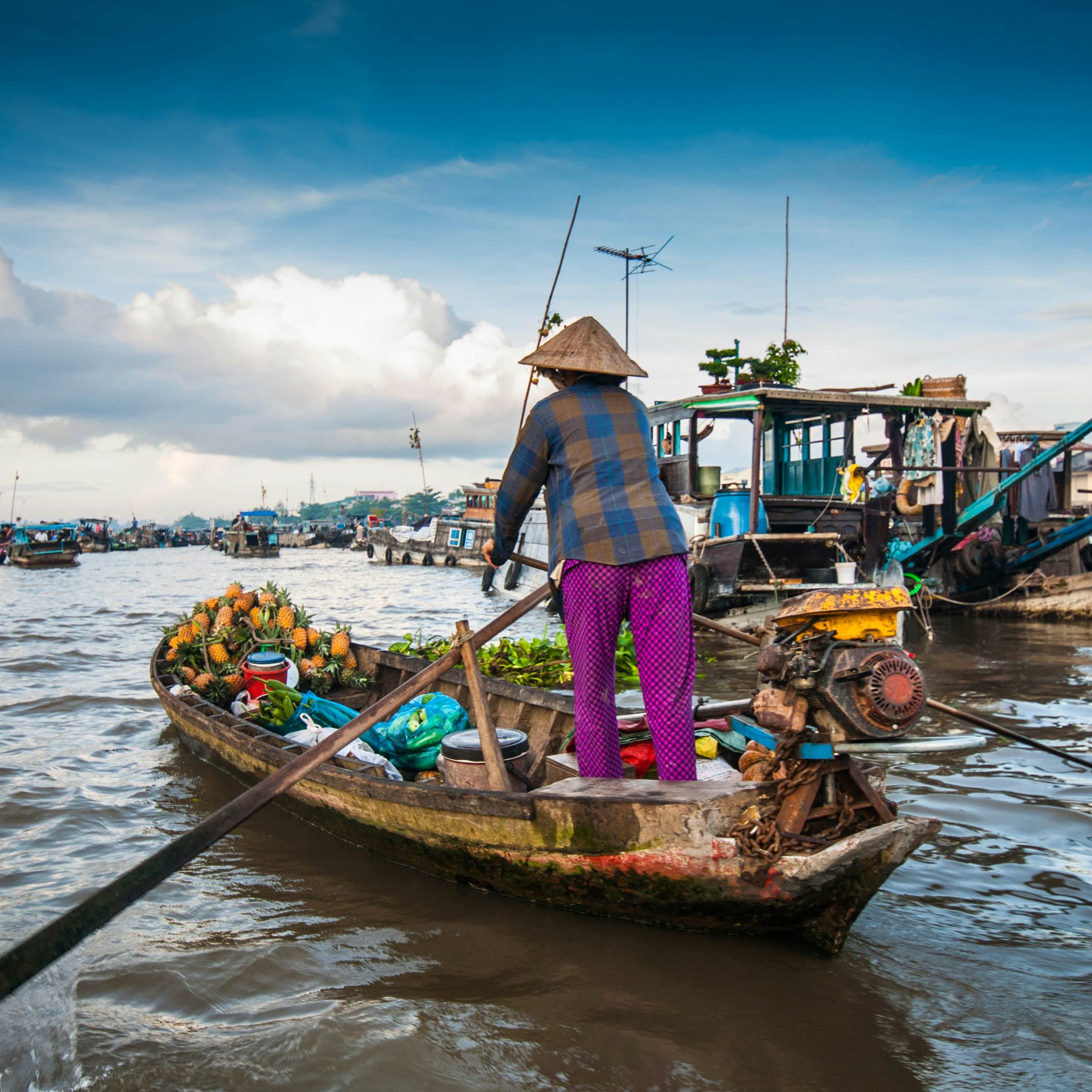 MEKONG DELTA 3