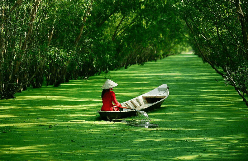 MEKONG DELTA 5