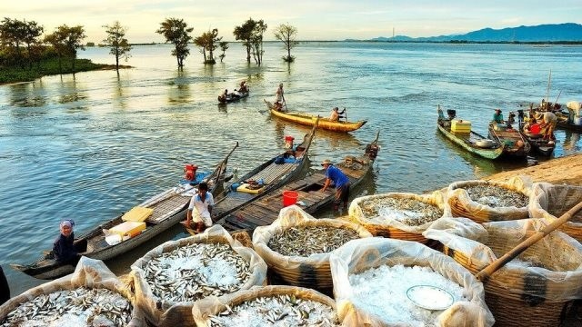 MEKONG DELTA 6