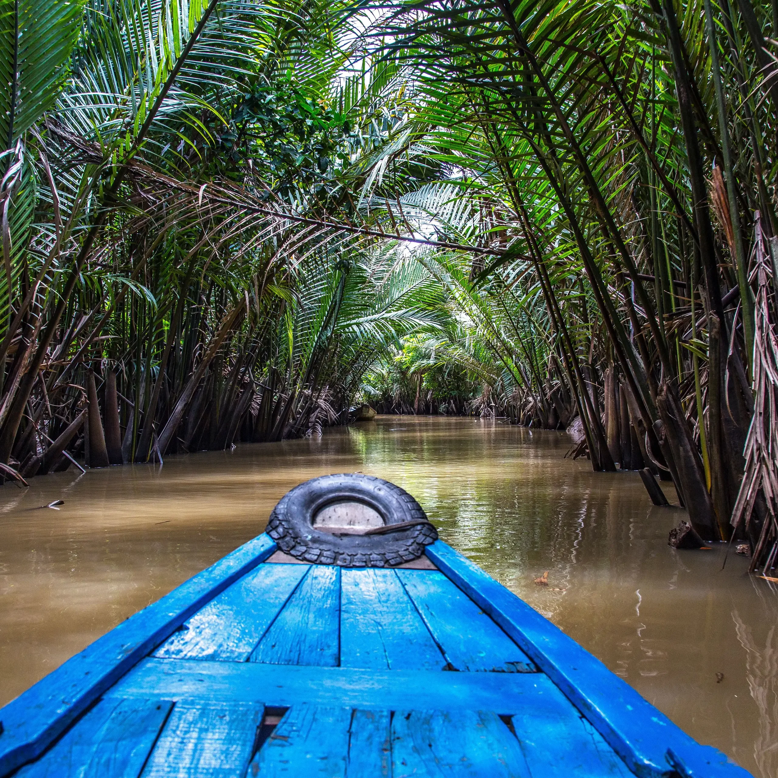MEKONG DELTA 8