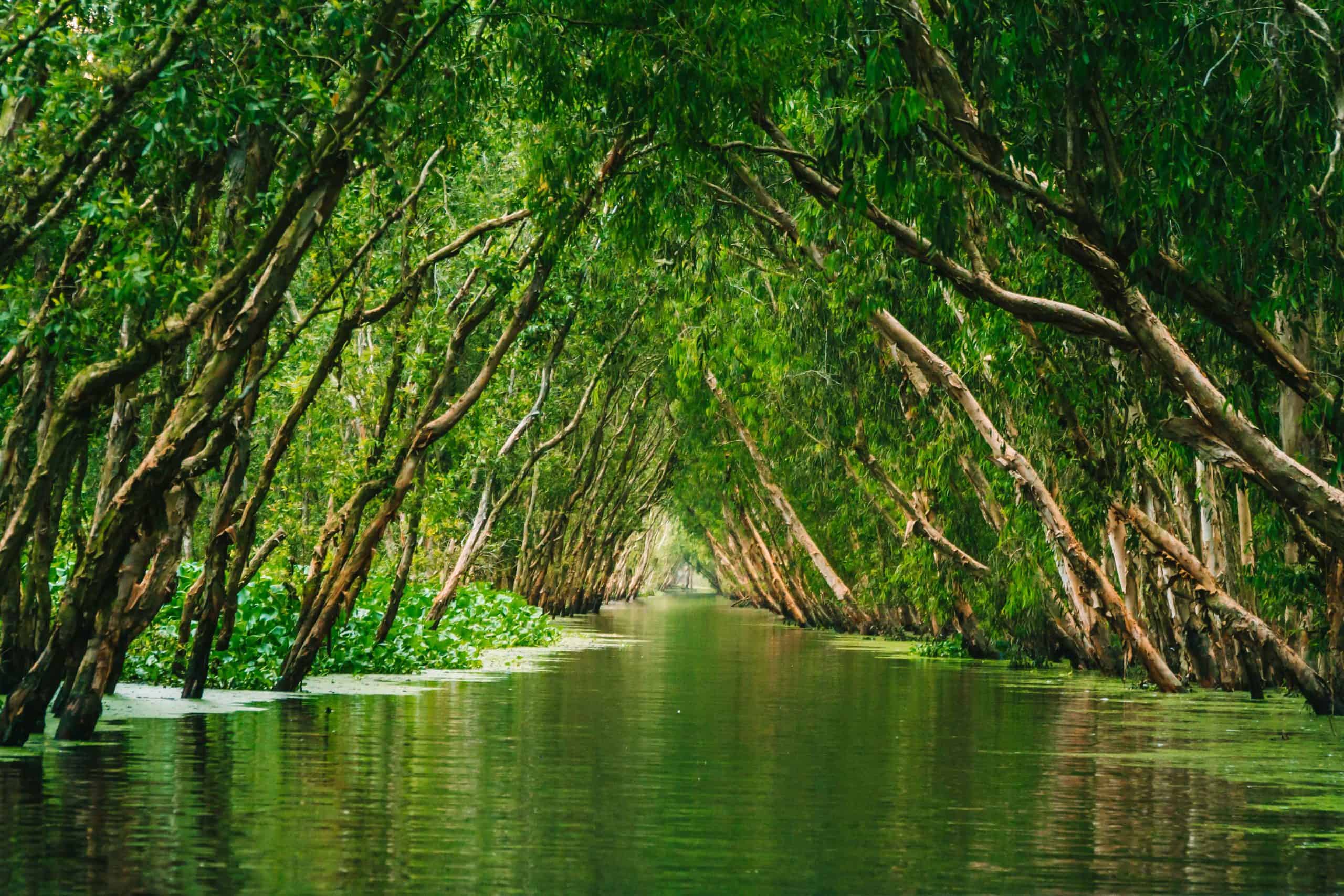 MEKONGDELTA 9