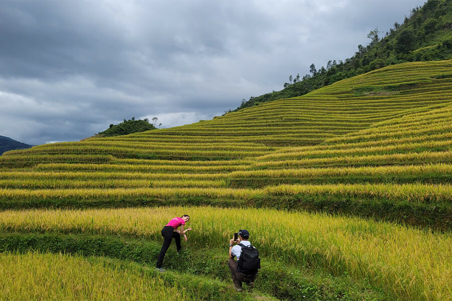 Rice Terrace Trekking​ - Leading Vietnam B2B DMC