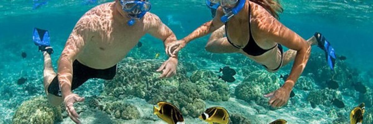 snorkeling-nt-bay-4