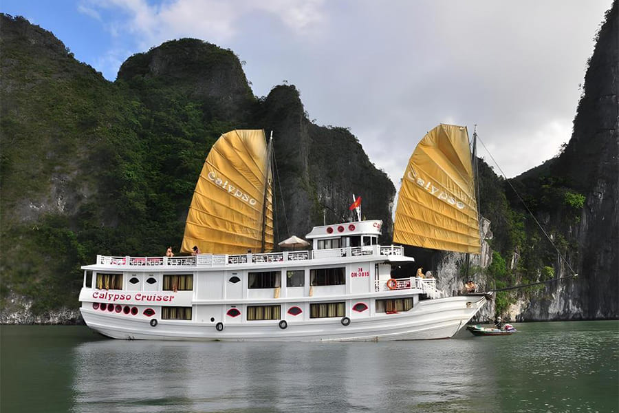Calypso Cruise