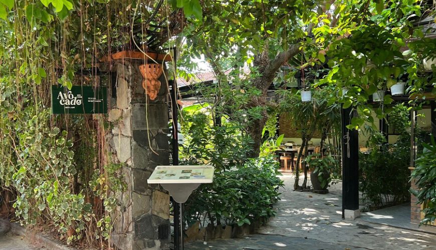 Avocado Resto restaurant danang