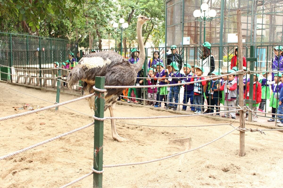 Visit Thu Le Park and Hanoi Zoo
