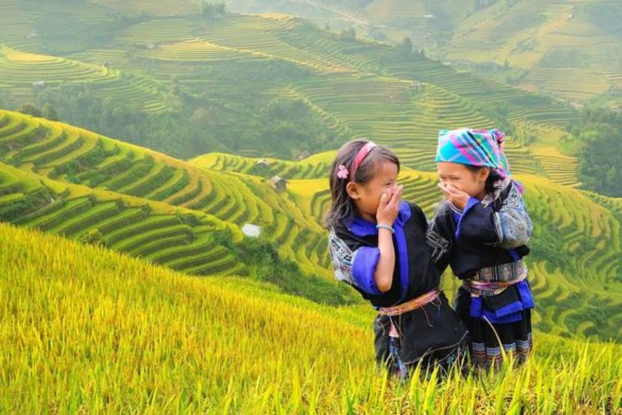 Two Hmong girls standing amid golden rice terraces in Sapa