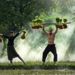 things to do in vietnam