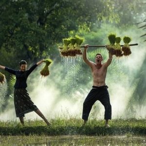things to do in vietnam