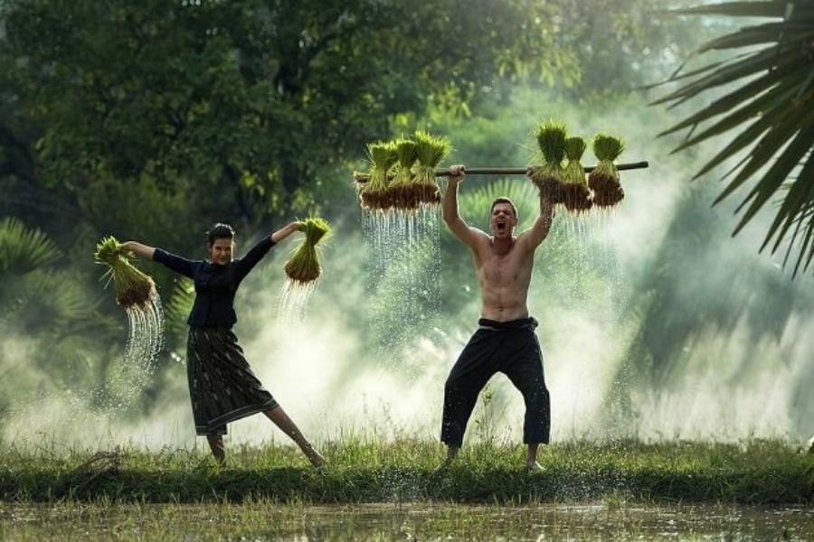 things to do in vietnam