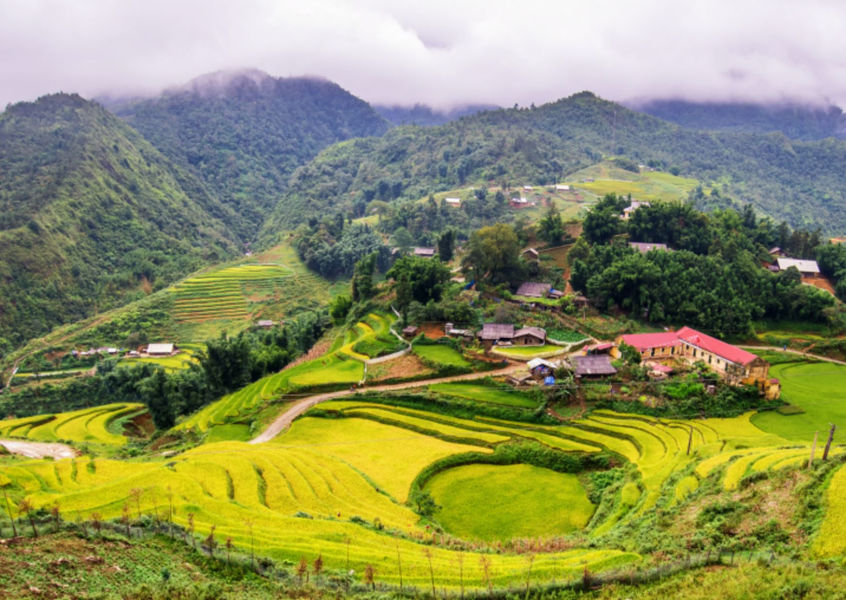 Aerial view of Cat Cat Village rice terraces, Sapa