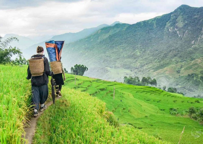 Two trekkers walking a rice terrace trail in Sapa