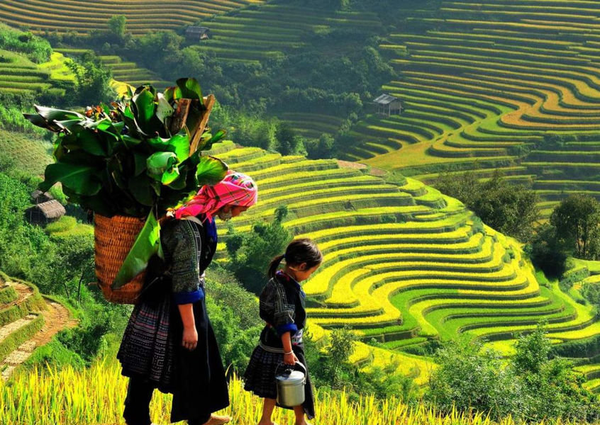 Local women carrying baskets through Ta Phin rice fields