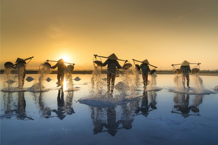 Vietnam DMC Asia Market